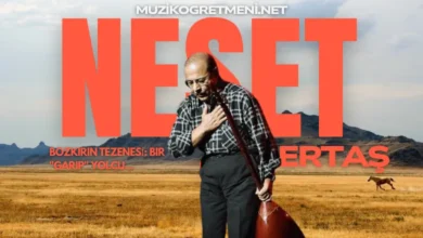 Neşet Ertaş