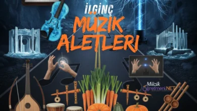 Dünyanın En Tuhaf 11 Müzik Aleti: Teknolojiden Doğaya Sıra Dışı Enstrümanlar 2 Dünyanın En Tuhaf 11 Müzik Aleti: Teknolojiden Doğaya Sıra Dışı Enstrümanlar