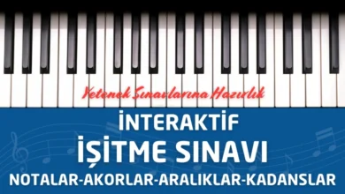 İnteraktif