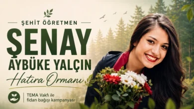 Şehit Öğretmen Şenay Aybüke Yalçın Hatıra Ormanı İçin Fidan Bağışı Kampanyası 1 muzikogretmeni aybuke yalcin unutmadik Şehit Öğretmen Şenay Aybüke Yalçın Hatıra Ormanı İçin Fidan Bağışı Kampanyası